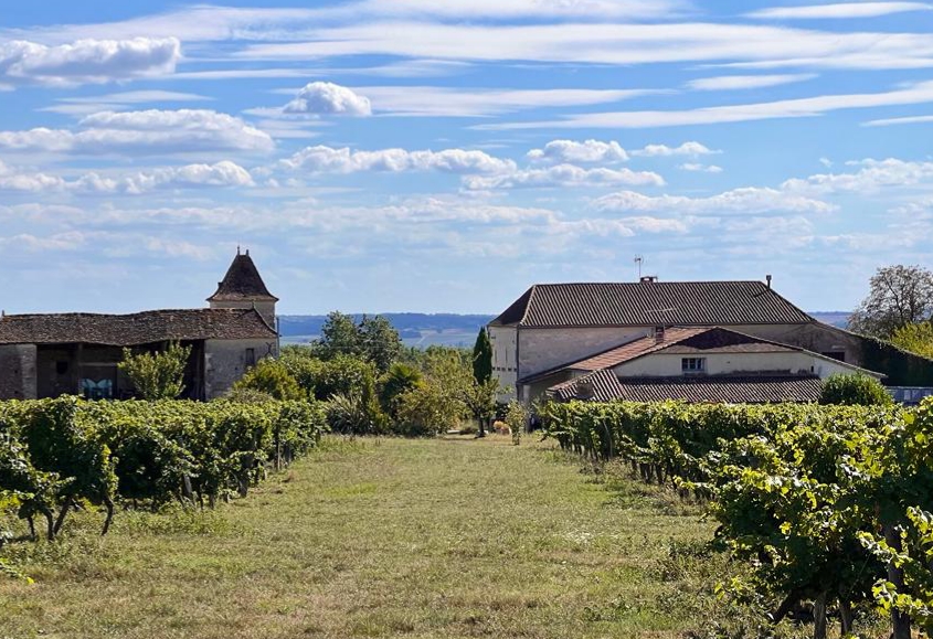 Vue du domaine et des vignes