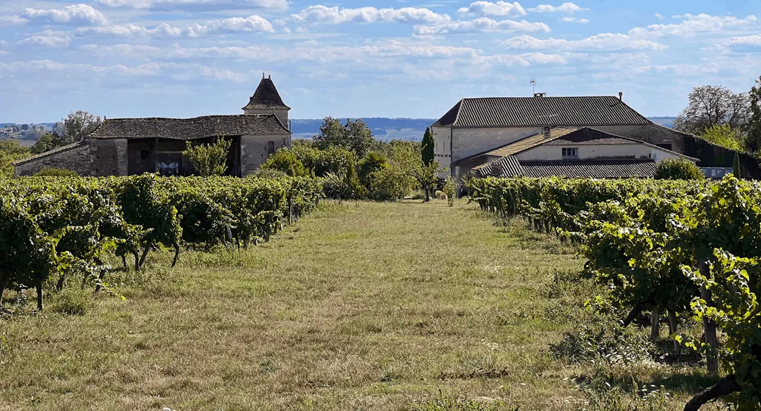 Ortis Le Voisin, de essentie van het terroir